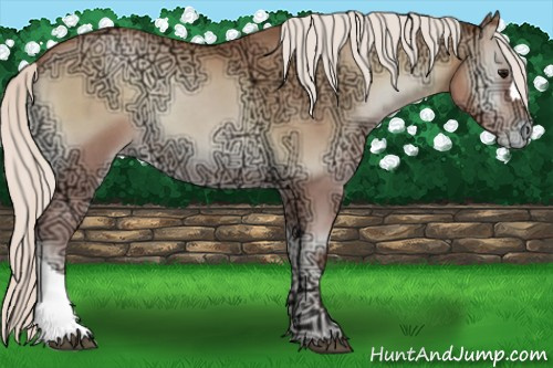 Horse Color:Silver Blue Onyx Ice Roan Pearl 