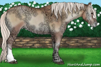 Horse Color:Silver Blue Onyx Ice Roan Pearl