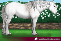 Horse Color:Gray Liver Red Onyx Ice Pearl