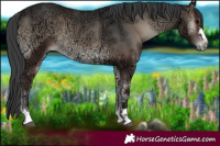 Horse Color:Blue Onyx Ice 