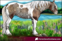 Horse Color:Gray Silver Blue Onyx Ice Pearl Tobiano Varnish 