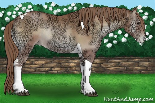 Horse Color:Blue Onyx Ice Pearl Tobiano Rabicano