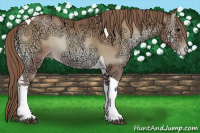 Horse Color:Blue Onyx Ice Pearl Tobiano Rabicano 