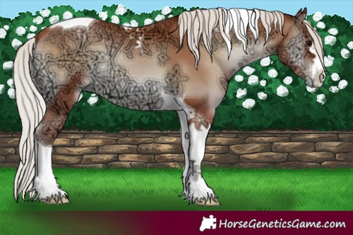 Horse Color:Silver Blue Onyx Ice Pearl Tobiano 