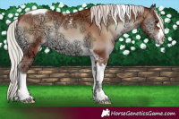 Horse Color:Silver Blue Onyx Ice Pearl Tobiano 