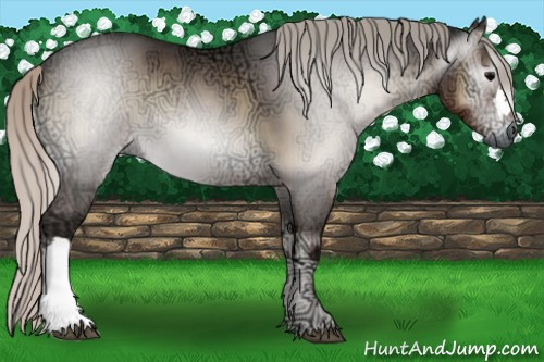 Horse Color:Gray Silver Blue Onyx Ice 