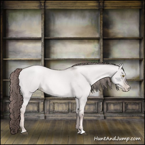 Horse Color:Platinum Liver Red Dun Roan Pearl Sabino 
