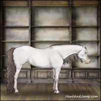 Horse Color:Platinum Liver Red Dun Roan Pearl Sabino 