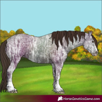 Horse Color:Liver Chestnut Ice 