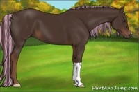 Horse Color:Painted Liver Chestnut