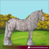 Horse Color:Chocolate Silver Black Chinchilla Ice
