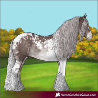 Horse Color:Platinum Chocolate Silver Brown Tobiano Rabicano 