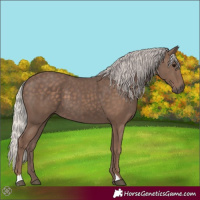 Horse Color:Silver Black 