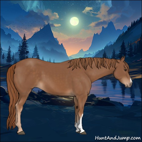 Horse Color:Chestnut 