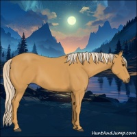Horse Color:Palomino
