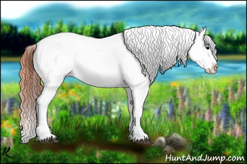 Horse Color:Bay Varnish