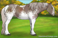 Horse Color:White Spotted Chocolate Silver Black Tobiano 