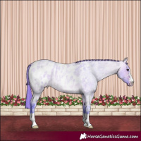 Horse Color:Watercolor Bay Ice Roan Dun Appaloosa