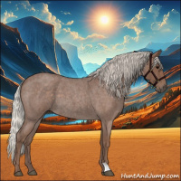 Horse Color:Silver Blue Roan 