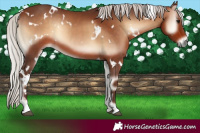 Horse Color:White Spotted Silver Brown Onyx 