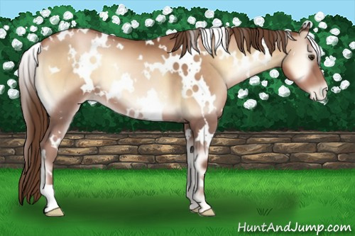 Horse Color:White Spotted Liver Red Onyx Pearl 