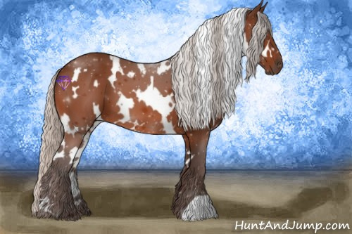 Horse Color:White Spotted Silver Bay