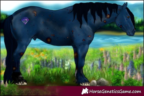 Horse Color:ERROR: UNKNOWN ANOMALY