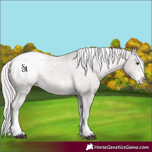 Horse Color:Platinum Chocolate Palomino Sabino Snowcap Rabicano