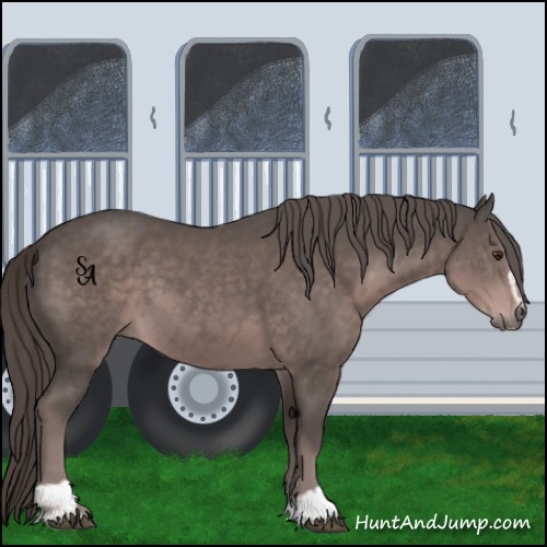 Horse Color:Platinum Liver Chestnut Sabino 