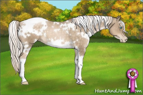 Horse Color:White Spotted Chocolate Palomino Pearl 