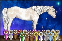 Horse Color:White Spotted Cremello 