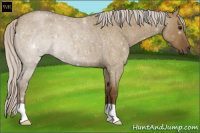 Horse Color:Silver Smoky Grullo Roan 