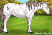 Horse Color:Platinum Liver Red Dun Pearl Near Leopard 