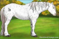 Horse Color:Platinum Liver Red Dun Pearl Appaloosa