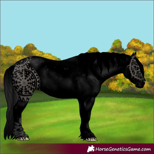 Horse Color:Void Grullo Sabino Splash 