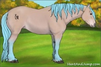 Horse Color:Watercolor Buckskin Rabicano