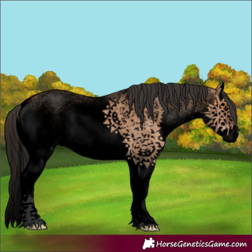 Horse Color:Void White Spotted Bay Dun Sabino Splash 