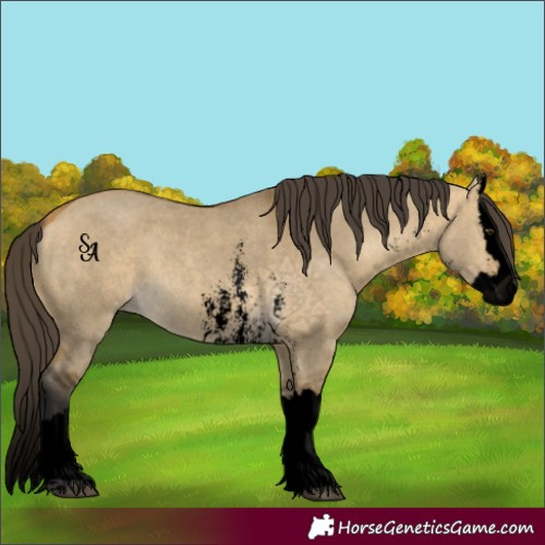 Horse Color:Void Buckskin Dun Sabino Splash