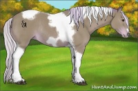 Horse Color:Watercolor Silver Brown Tobiano Frame Rabicano