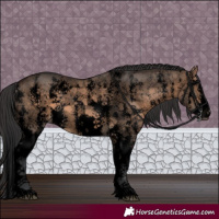 Horse Color:Void Brown Dun Sabino Splash 