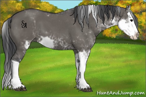 Horse Color:Grullo Sabino Splash 