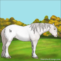 Horse Color:Platinum Brown Pearl Appaloosa 