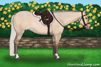 Horse Color:Silver Bay Dun