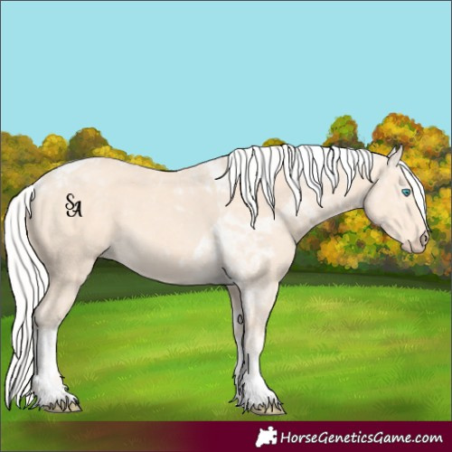 Horse Color:Silver Perlino Tobiano