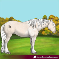 Horse Color:Silver Perlino Tobiano 
