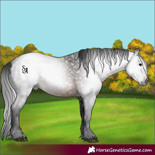 Horse Color:Gray Void Brown
