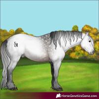 Horse Color:Gray Void Brown