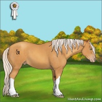 Horse Color:Silver Sable Cream Champagne 