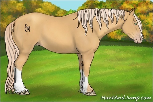 Horse Color:Gold Cream Champagne