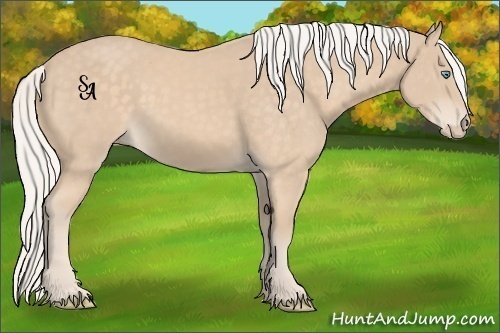 Horse Color:Silver Perlino